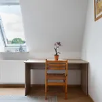 Apartament Storchennest Burg (Dithmarschen)